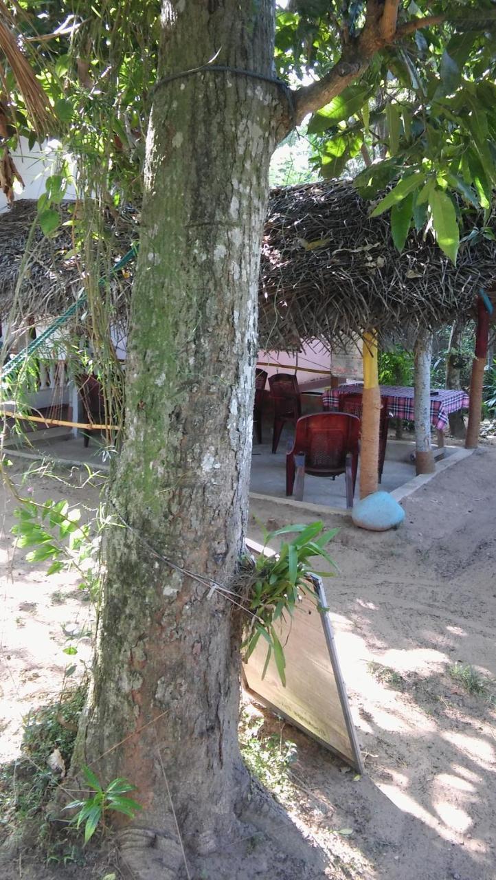 Thevindu Guest & Redmud Resturent Banduramulla Bagian luar foto