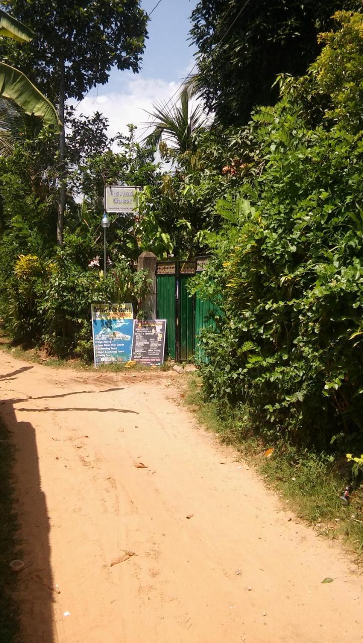 Thevindu Guest & Redmud Resturent Banduramulla Bagian luar foto