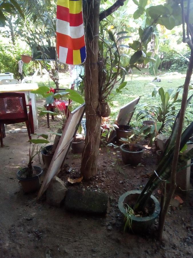 Thevindu Guest & Redmud Resturent Banduramulla Bagian luar foto